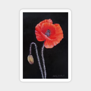 Poppy painting Magnet