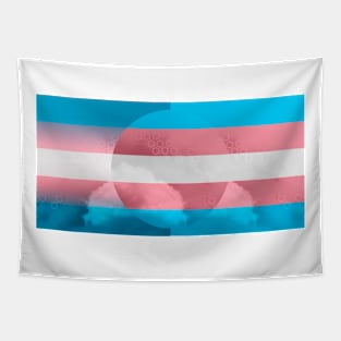 Clarity (Trans Pride) Tapestry