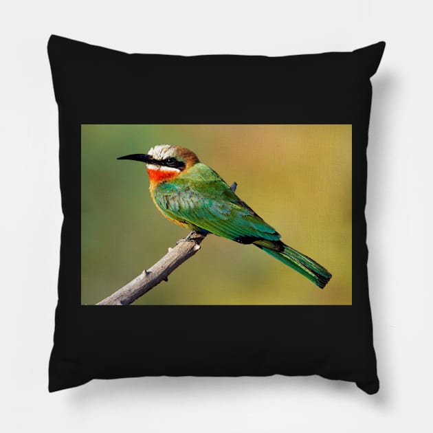 Whitefronted Bee-eater Perching Pillow by scotch