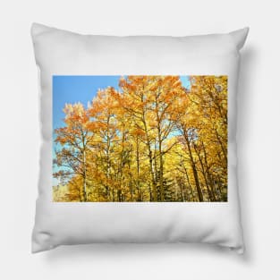 Fall Colors and Aspen Trees in Colorado Pillow