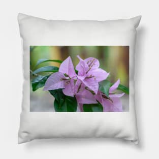 Pink Flower Pillow