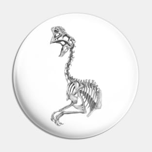 Oviraptor skeleton Pin