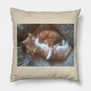 Kitten love Pillow