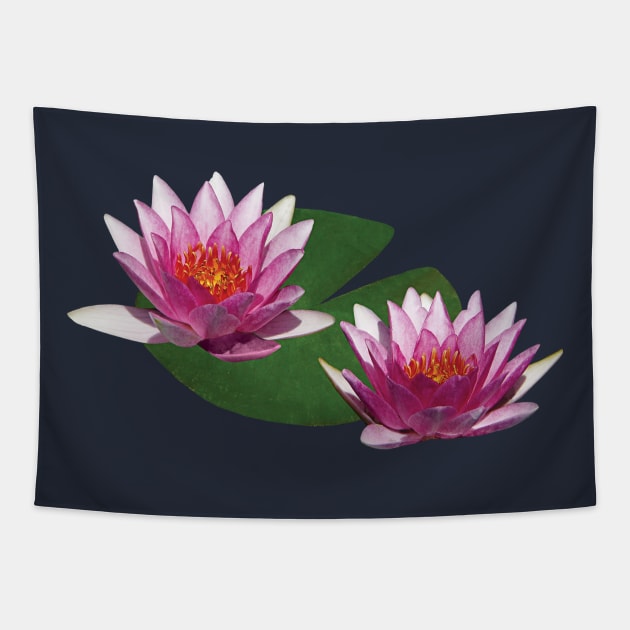 Water Lilies - Two Pink Water Lilies Tapestry by SusanSavad