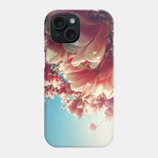 spring beams Phone Case