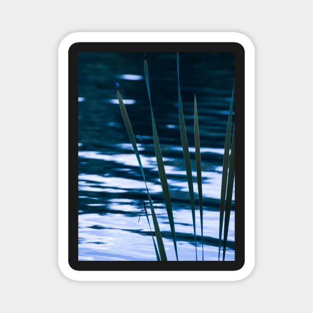 Copy of Water reflections Magnet by bunlinked