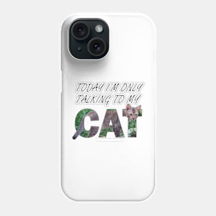 Today I'm only talking to my cat - brown sand cat oil painting word art Phone Case