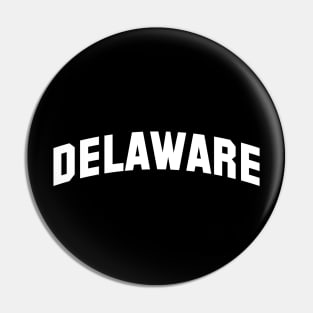 Delaware Pin