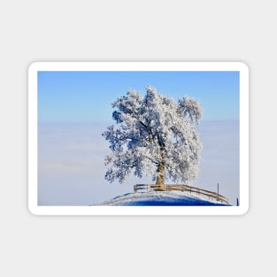 Winter Tree Landscape / Swiss Artwork Photography Magnet