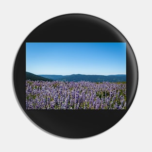 View of lupine and mountains Pin