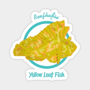 Yellow Leaf Fish Magnet