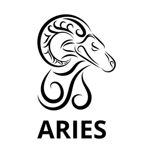 Aries T-Shirt