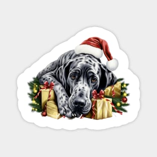 Lazy Great Dane Dog at Christmas Magnet