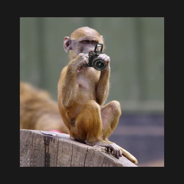 Monkey with a camera by Simon-dell