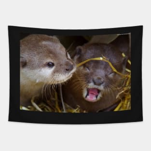 Otter .. she just told him a funny joke Tapestry