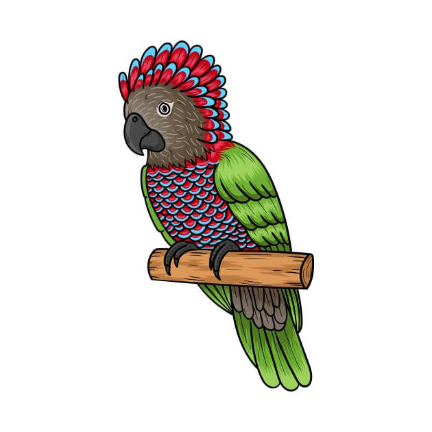 Hawk headed parrot bird cartoon illustration by Cartoons of fun