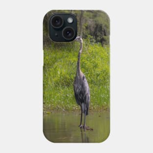 Great Blue Heron Bird in Tall Grass Phone Case