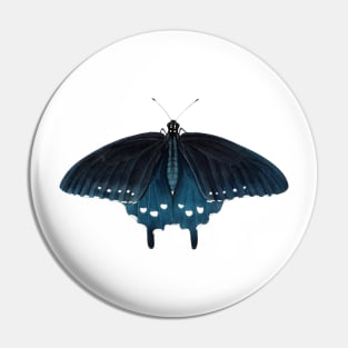 Pipevine Swallowtail Pin