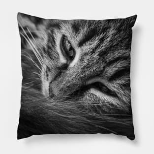 moody kitten b&w Pillow