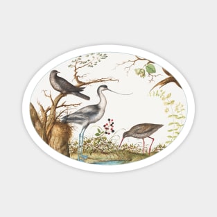 Avocet with Two Other Birds (1575–1580) Magnet