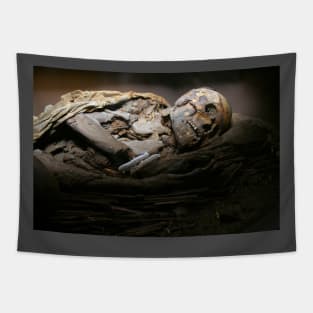 Egyptian Mummy Tapestry