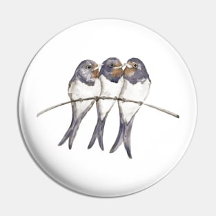 Three young swallows Pin