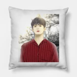 Cha Eun Woo Pillow