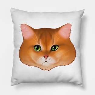 Funny Cat Muzzle Pillow