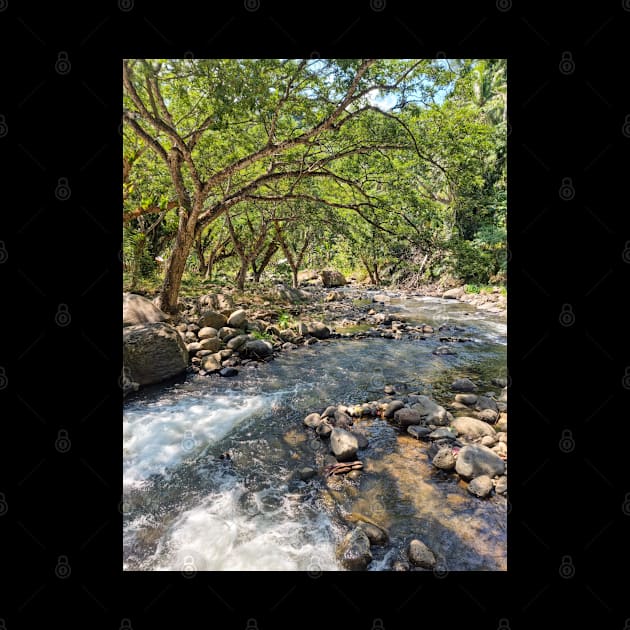 Mountain Stream, Jasaan, Misamis Oriental, Mindanao, Philippines by Upbeat Traveler