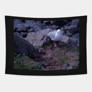 Seagull Chicks Tapestry