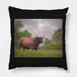 The bull Pillow