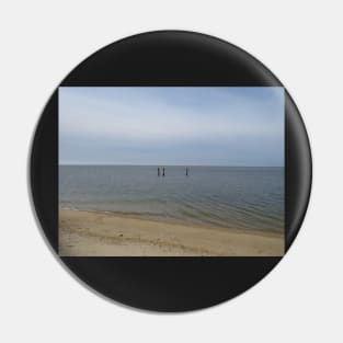 Looking out at the Potomac River 2020 Pin