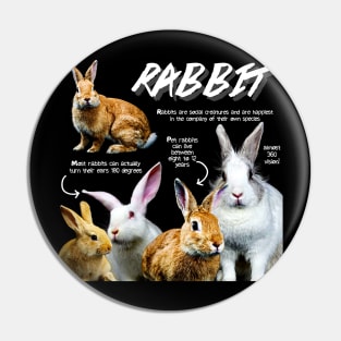 Rabbit Fun Facts Pin