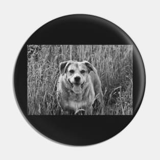 Happy Dog in Field Pin