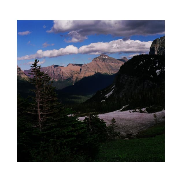 Logan's Pass, Glacier N.P., Montana by rodneyj46