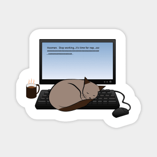 Sleeping Cat on Computer Keyboard Magnet