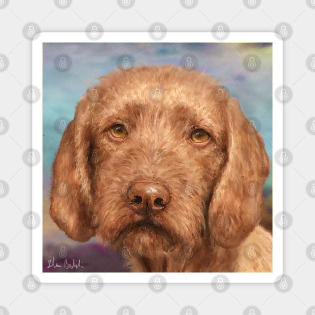 Painting of a Brown Wirehaired Vizsla Magnet by ibadishi