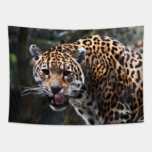 Jaguar Tarnung / Swiss Artwork Photography Tapestry