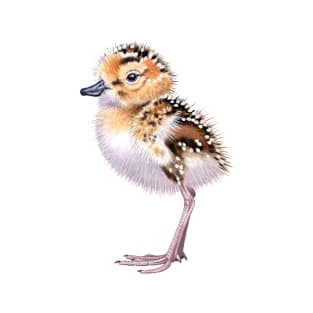 Spoon-billed Sandpiper chick T-Shirt