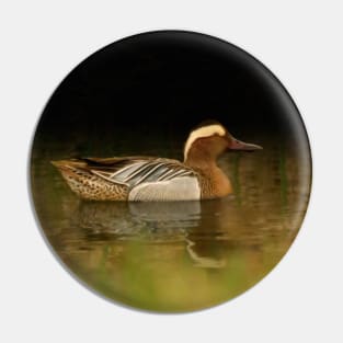 Garganey Pin