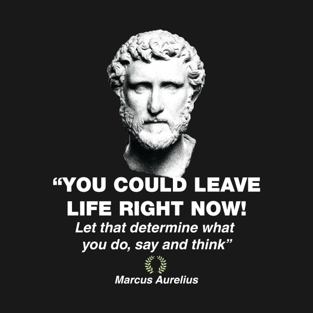 Marcus Aurelius, Chief Stoic by emma17