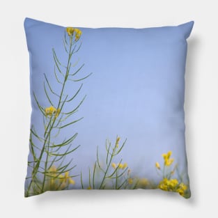 Rural Alberta Canola Fields Pillow