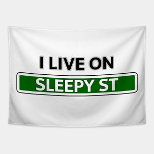 I live on Sleepy Street Street Sign Tapestry