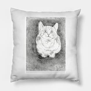 Hypo realistic crouching cat Pillow