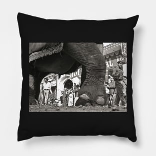 Giant Elephant Foot b/w vintage photography Pillow