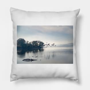Canada Geese approach Pillow