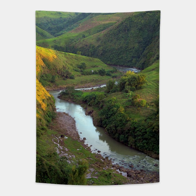 Mountain and River Landscape in Pandanon Silos, Negros Occidental, Philippines Tapestry by likbatonboot