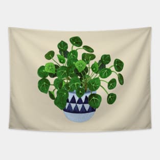 Pilea Peperomioides Tapestry