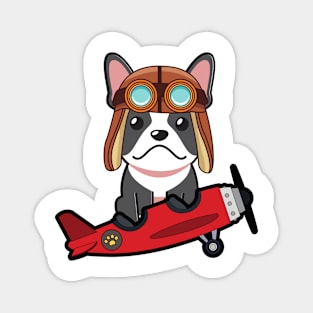 Cute french bulldog is in a vintage plane Magnet