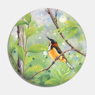 Lullaby (Eastern Spinebill) Pin